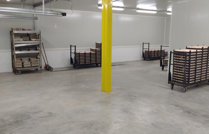 Vodnanske-kure-klimatizovana-sklad-vajec-1