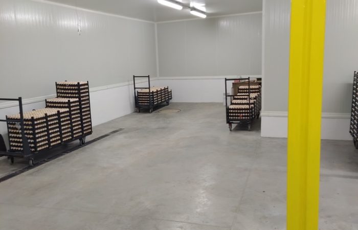 Vodnanske-kure-klimatizovana-sklad-vajec-3