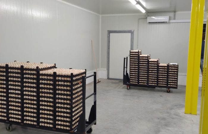 Vodnanske-kure-klimatizovana-sklad-vajec-4