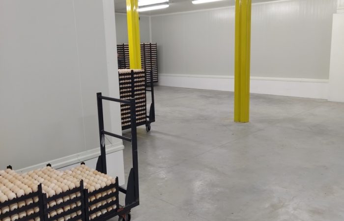 Vodnanske-kure-klimatizovana-sklad-vajec-5