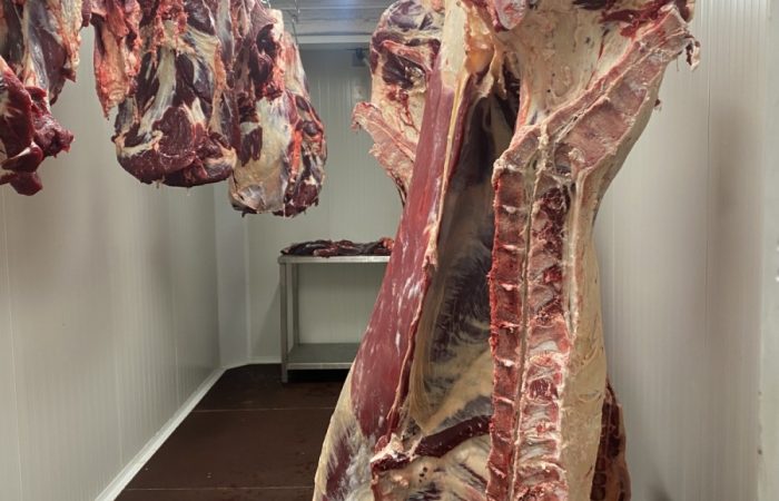 chladirensky-kontejner-maso-ve-visu-3