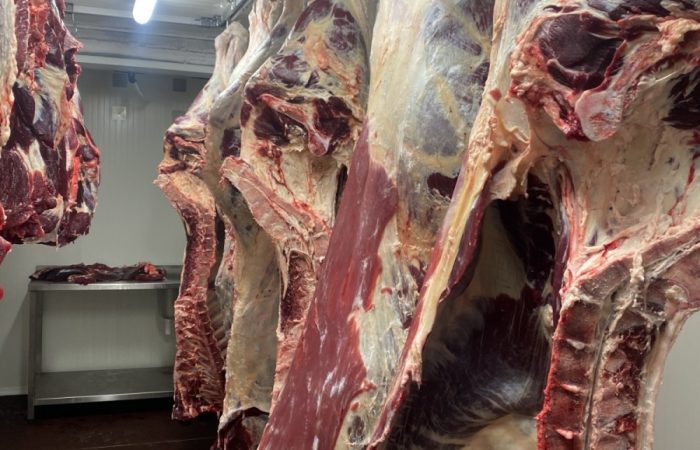 chladirensky-kontejner-maso-ve-visu-4